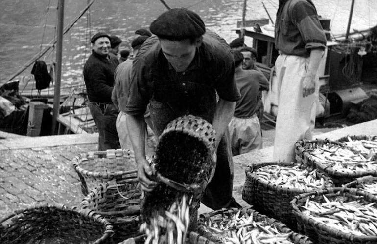 pescador anchoas